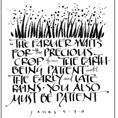 Weekly Bulletin December 14th - Third Sunday in Advent