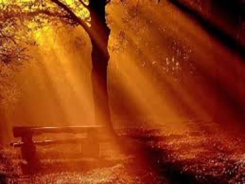Funeral Sermon / Brian Knutson / September 17th, 2014 / Pastor Terry Defoe