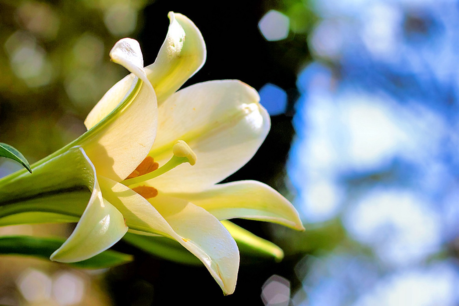 Funeral Sermon \ Ruth Schick \ March 25th, 2015 \ Pastor Terry Defoe