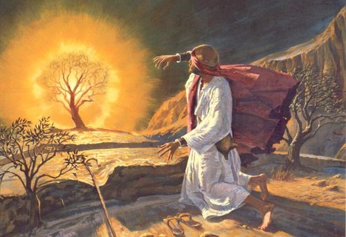 God is the God of the Living/ Vicar James Preus/ Sunday November 10, 2013