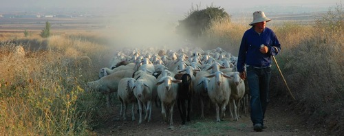 The Good Shepherd - John 10:1-10 Sermon / Sunday May 11th 2014 / Season of Easter 
