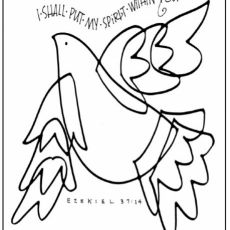 Weekly Bulletin May 19th - The Day of Pentecost
