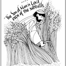 Weekly Bulletin June 2nd - Second Sunday in Pentecost
