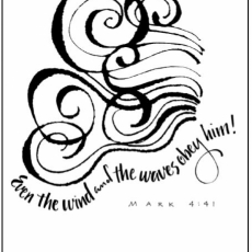 Weekly Bulletin June 23rd - Fifth Sunday in Pentecost