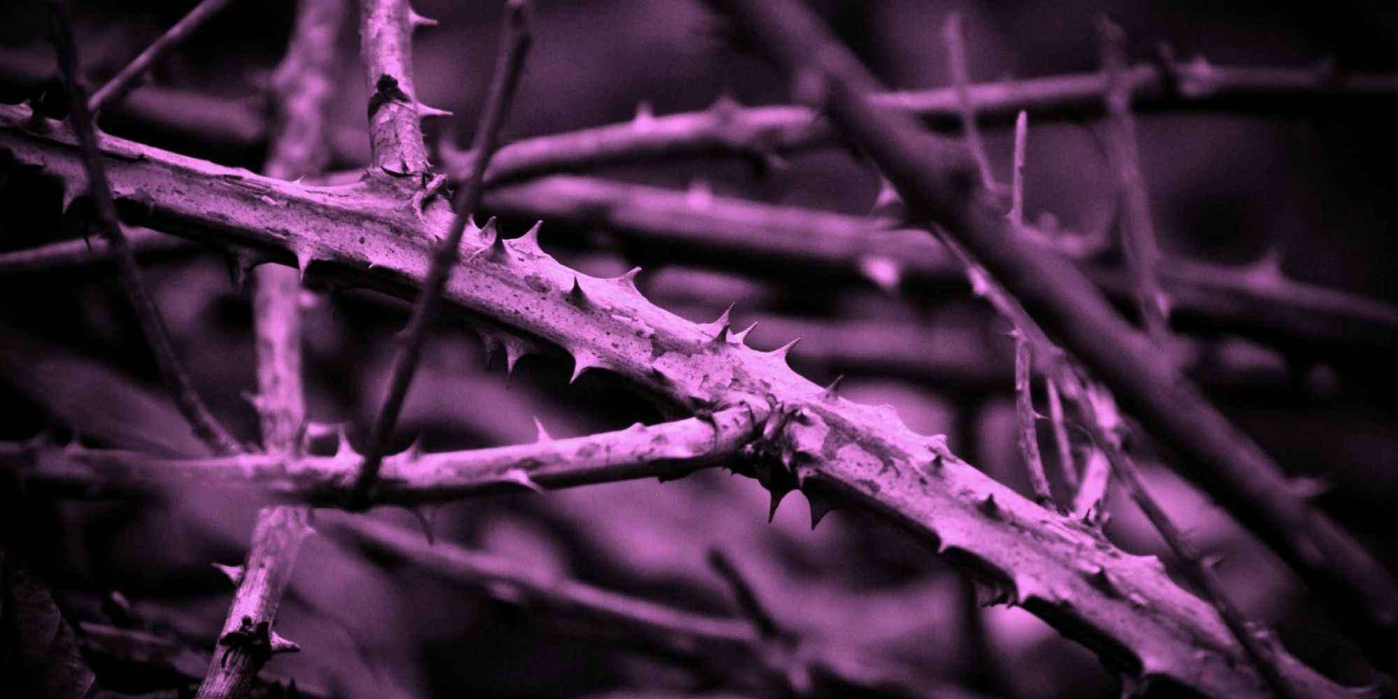 Season of Lent